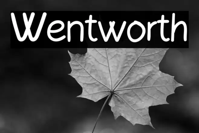 Wentworth Polices examples