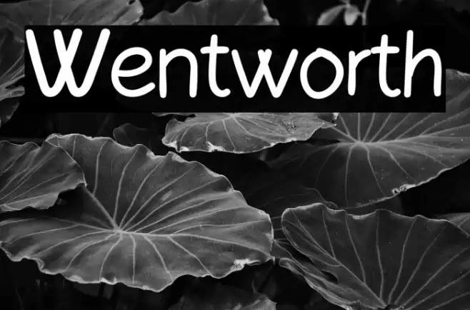 Wentworth Polices examples