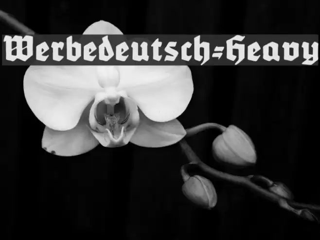 Werbedeutsch-Heavy Font examples