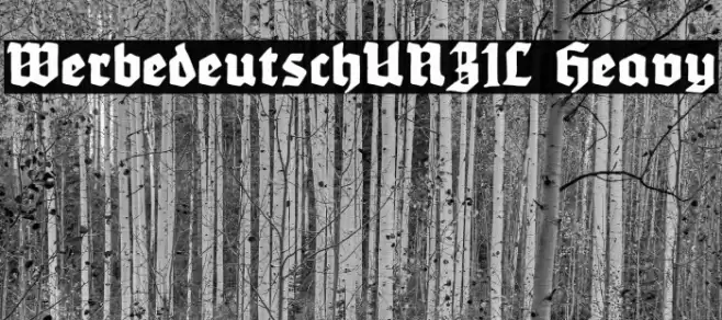 WerbedeutschUNZ1L Heavy Font examples