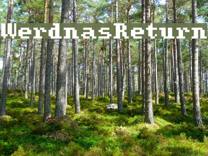 WerdnasReturn Font examples