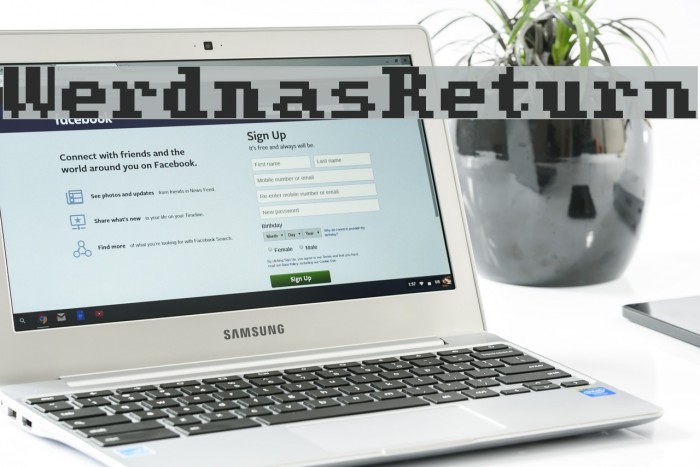 WerdnasReturn Font examples