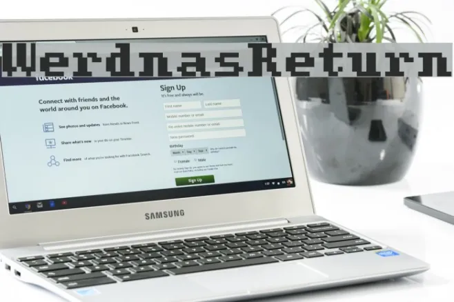 WerdnasReturn Example 2
