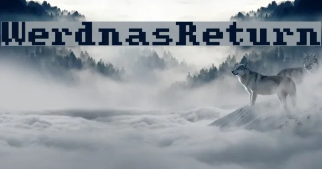 WerdnasReturn Example 3