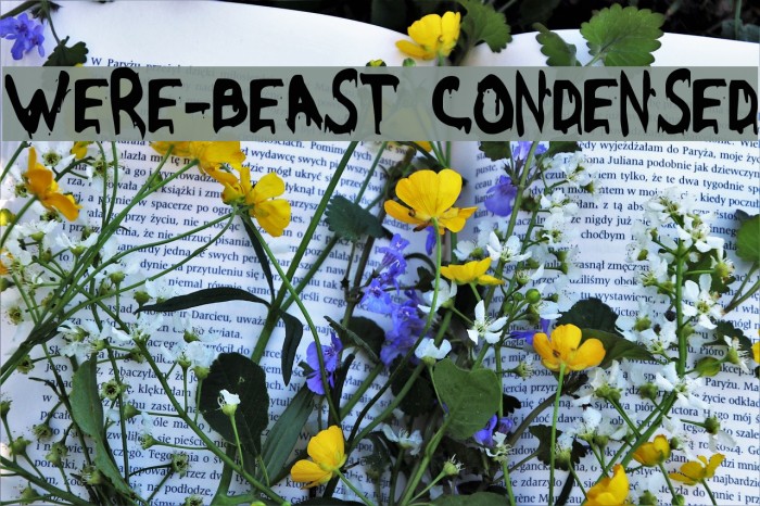 Were-Beast Condensed Font examples