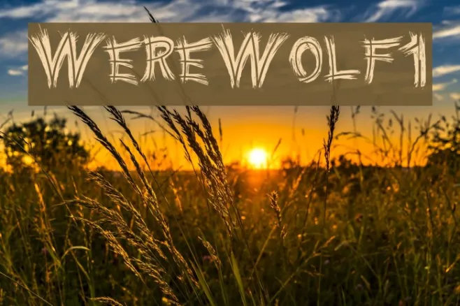 WereWolf1 Example 2