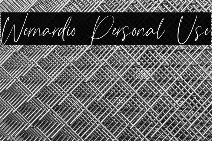 Wernardio Personal Use Example 2