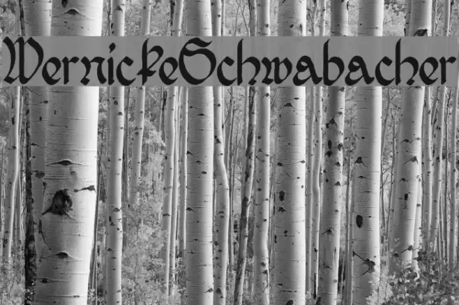 WernickeSchwabacher Font examples