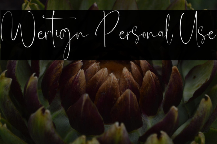 Wertign Personal Use Example 2