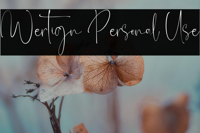 Wertign Personal Use Example 3