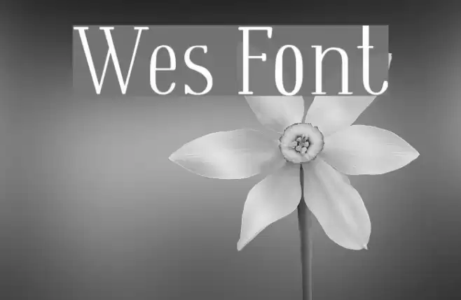 Wes Font examples