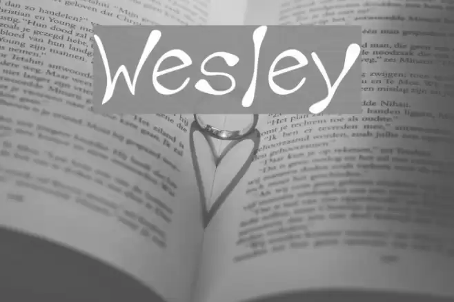 Wesley Font examples