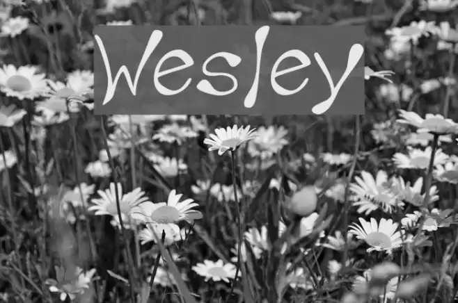 Wesley Font examples