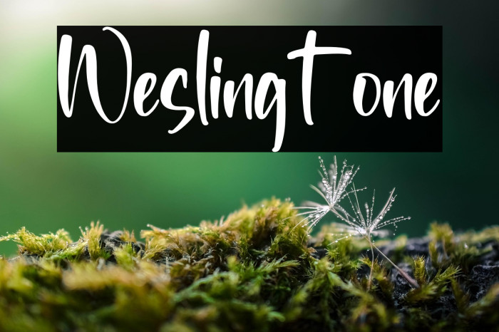 Weslingtone Example 2