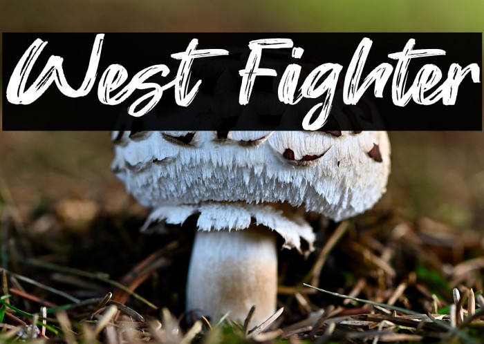 West Fighter Example 1