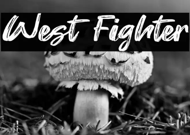 West Fighter Font examples