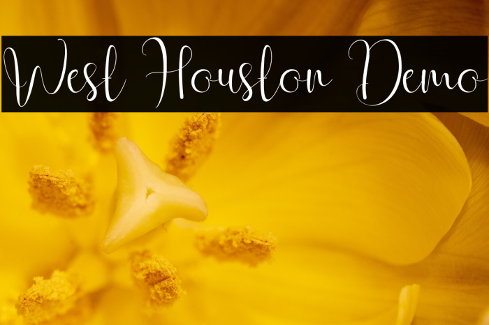 West Houston Demo Example 2