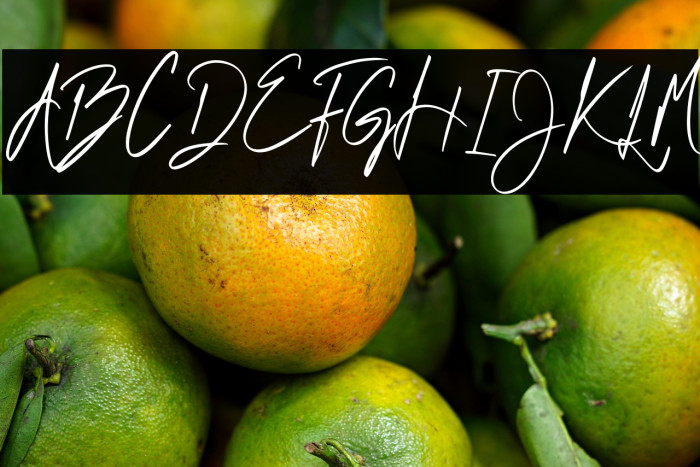 West Kalimantan Example 1