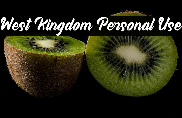 West Kingdom Personal Use Example 3
