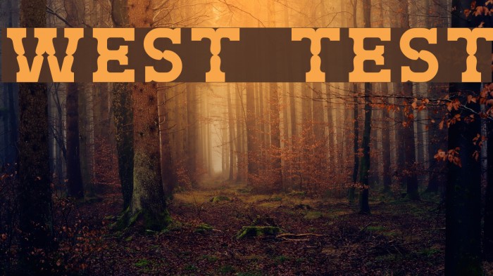 West Test Font examples