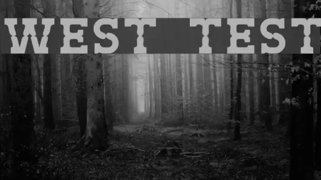 West Test Font examples