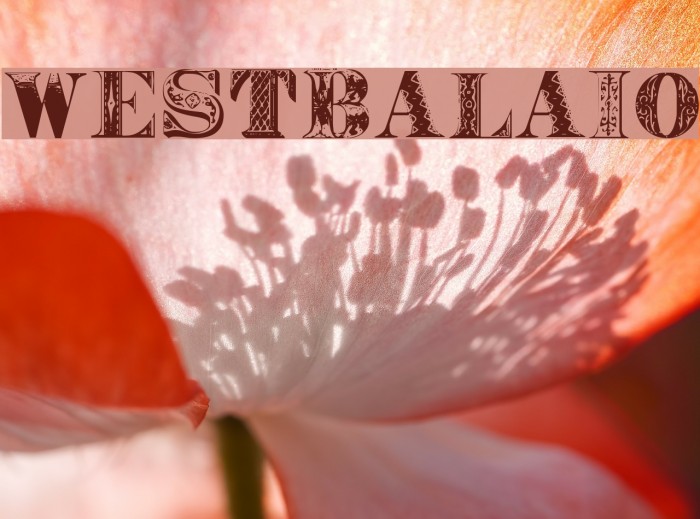 WestBalaio Font examples