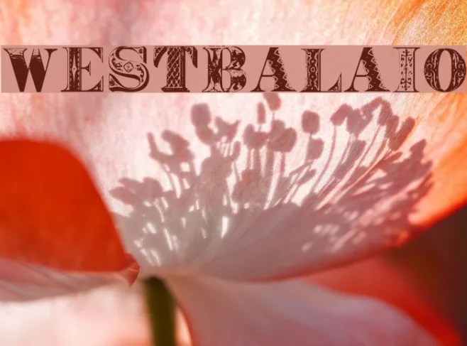 WestBalaio Example 1