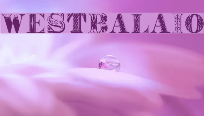 WestBalaio Example 2