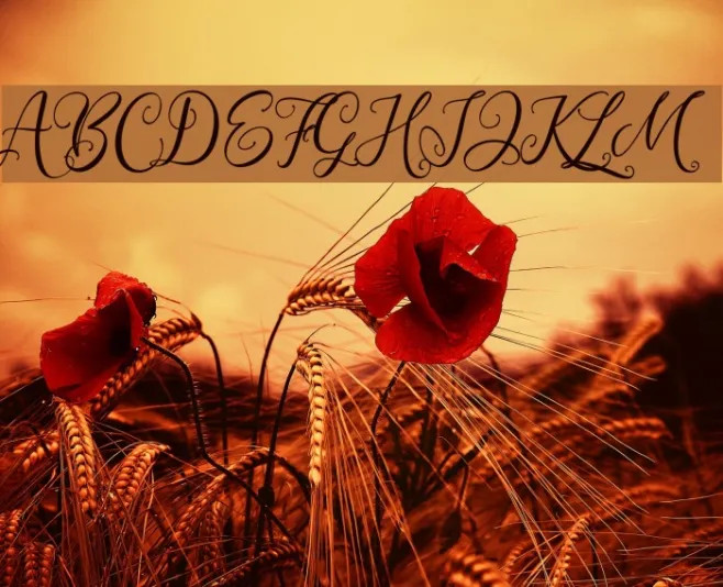 WestCousin Example 3
