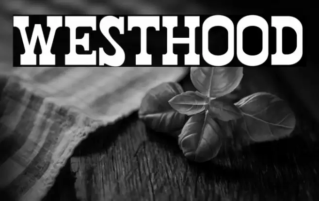 WestHood Font examples