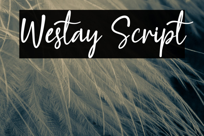 Westay Script Font examples