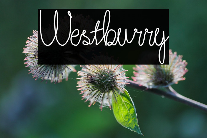 Westburry Example 3