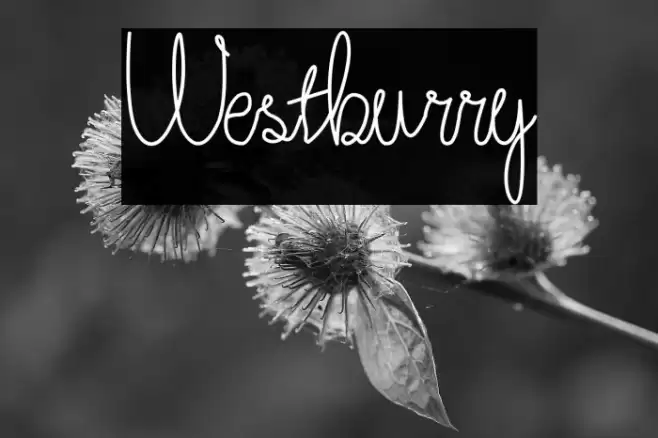 Westburry Font examples