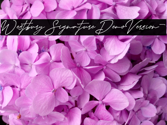 WestburySignatureDemoVersion- Example 1