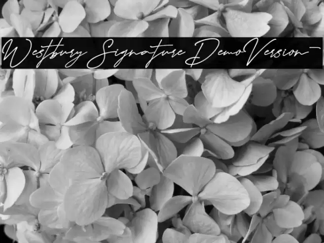 WestburySignatureDemoVersion- Font examples