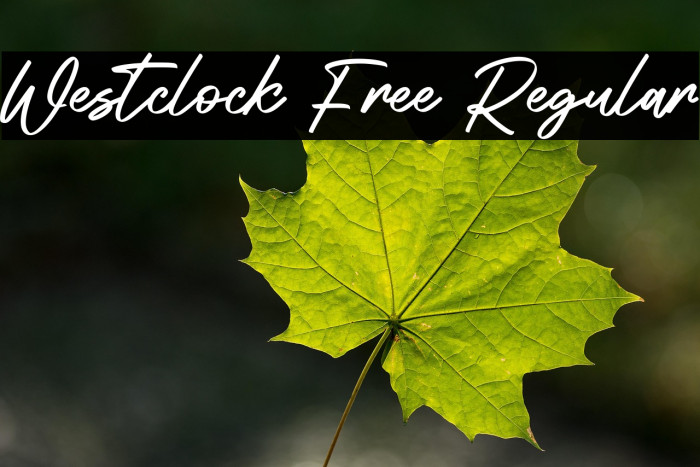 Westclock Free Regular Example 1
