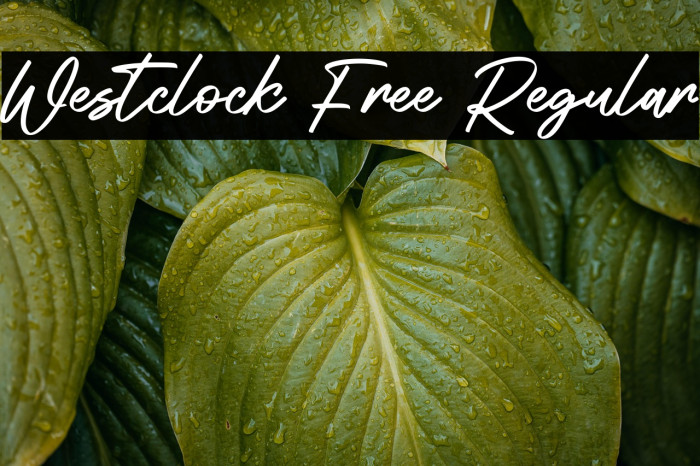 Westclock Free Regular Example 2