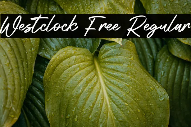 Westclock Free Regular Example 2