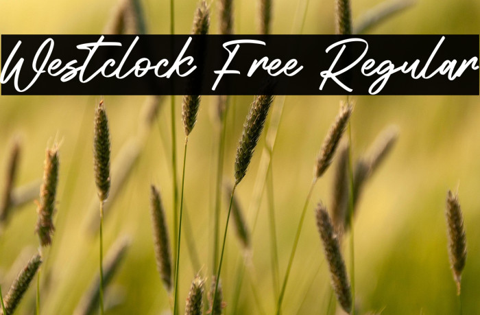 Westclock Free Regular Example 3