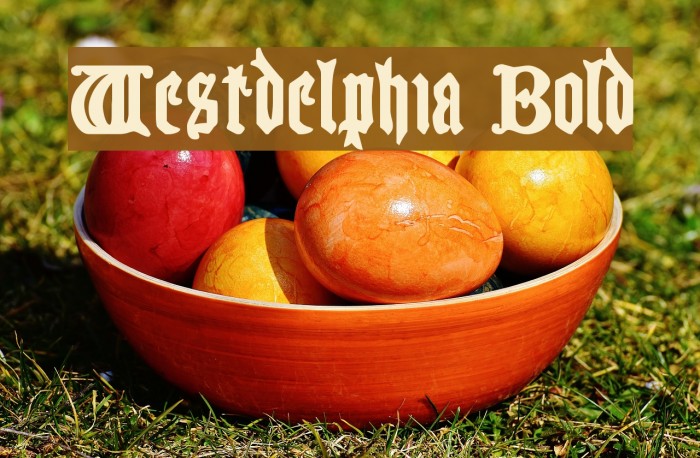 Westdelphia Bold Font examples