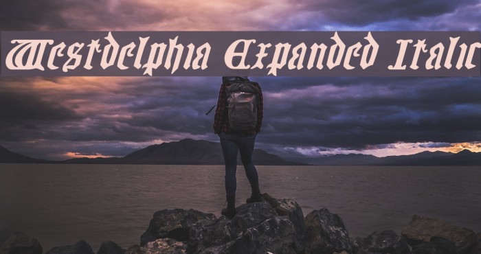 Westdelphia Expanded Italic Font examples