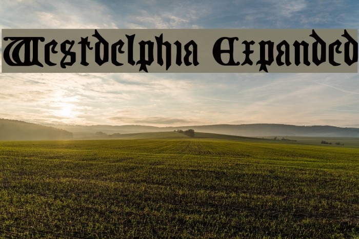 Westdelphia Expanded Font examples