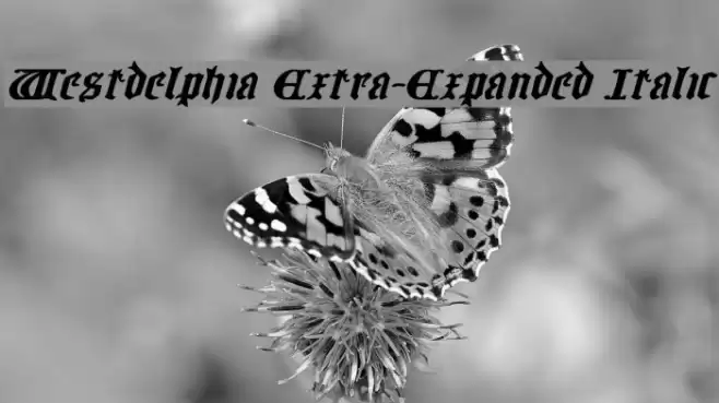 Westdelphia Extra-Expanded Italic Font examples