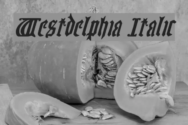 Westdelphia Italic Font examples
