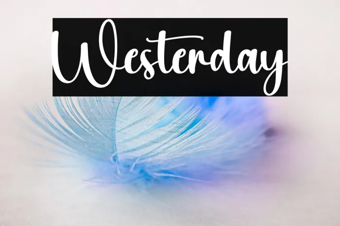 Westerday Example 3