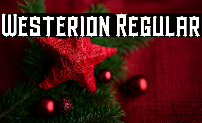 Westerion Regular Example 2