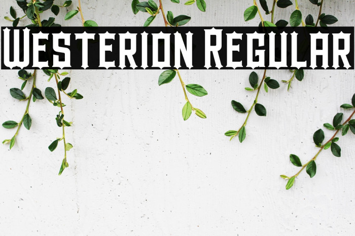 Westerion Regular Example 3