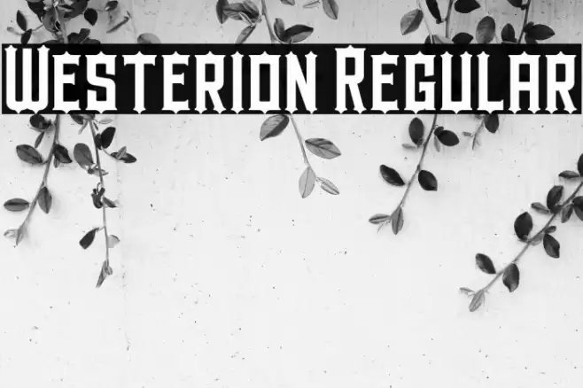 Westerion Regular Font examples