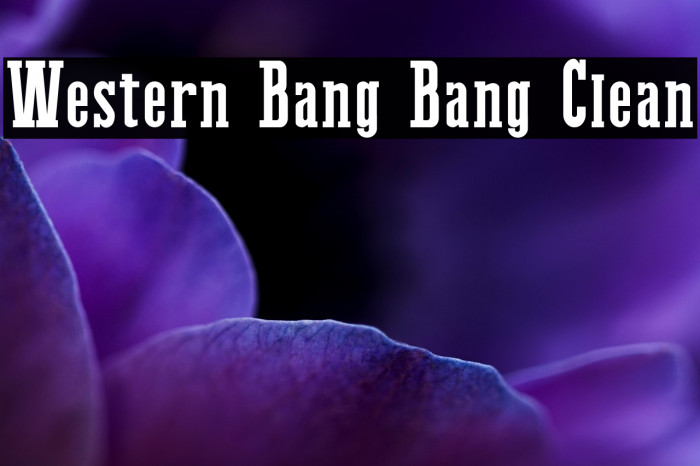 Western Bang Bang Clean Example 1