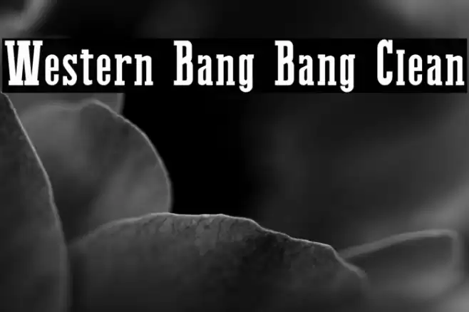 Western Bang Bang Clean Font examples